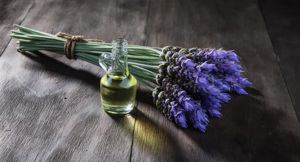 5 Sublime Sage Diffuser Oils For The Ultimate Sage Lover
