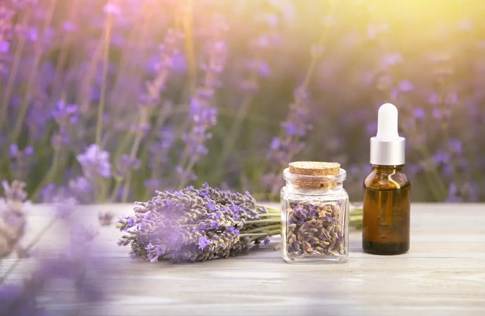 Lavender Essential Oil Collection - Six types in Lavender