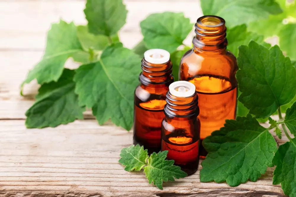 Patchouli Essential Oil - The Magical Oil That Can Boost Your Mood