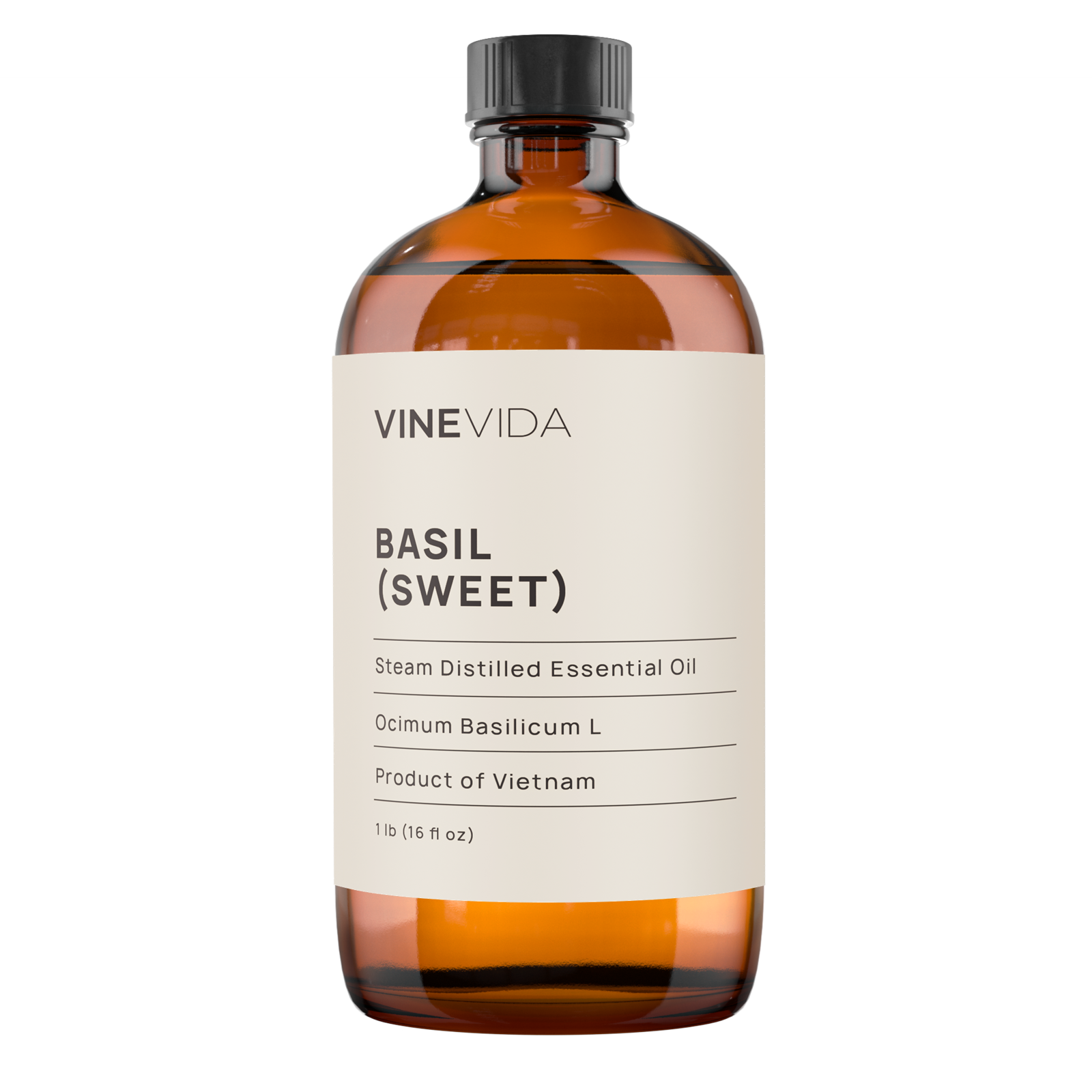 Basil Sweet Essential Oil Uses Benefits Blends VINEVIDA