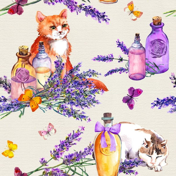 Lavender oil to 2024 keep cats away