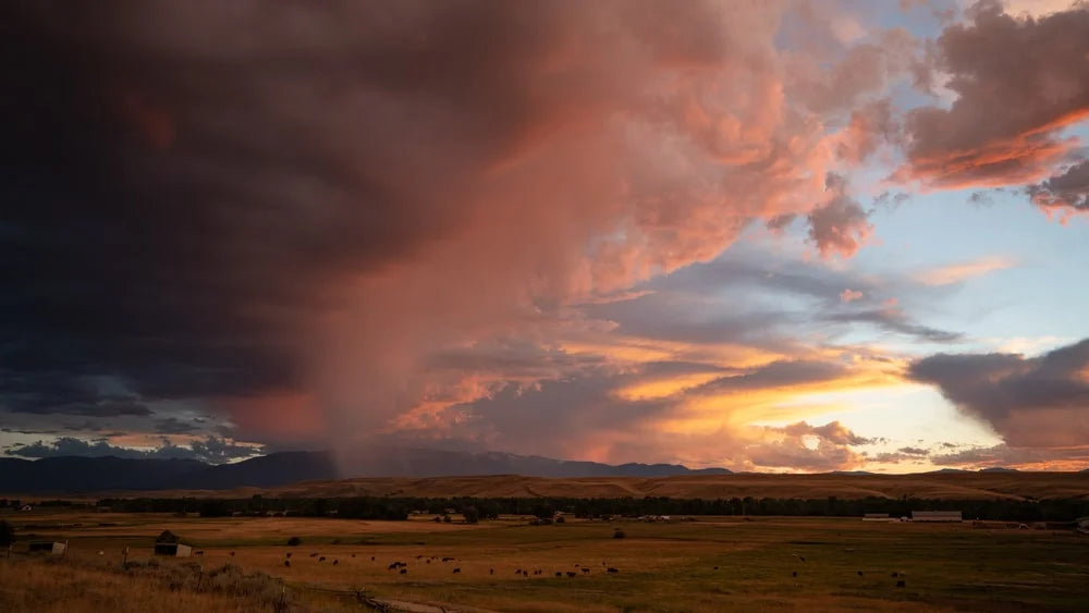 Montana sunset landscape