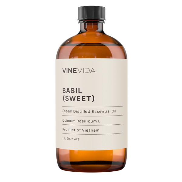 Basil Sweet Essential Oil Uses Benefits Blends VINEVIDA